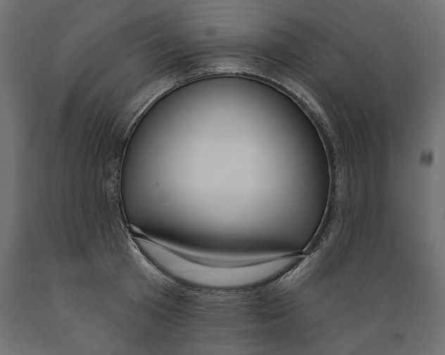 X0000088880801200707061409