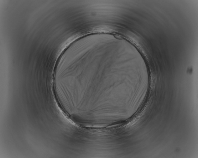 X0000088880802200707061409