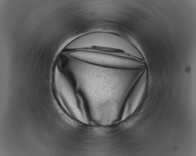 X0000088880803200707061409