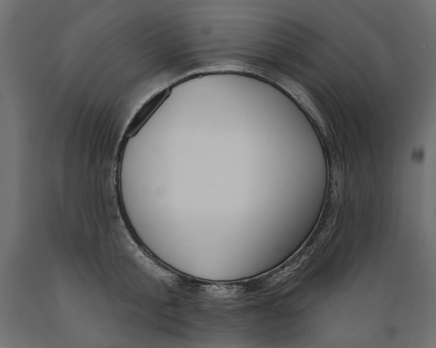 X0000088880805200707061409