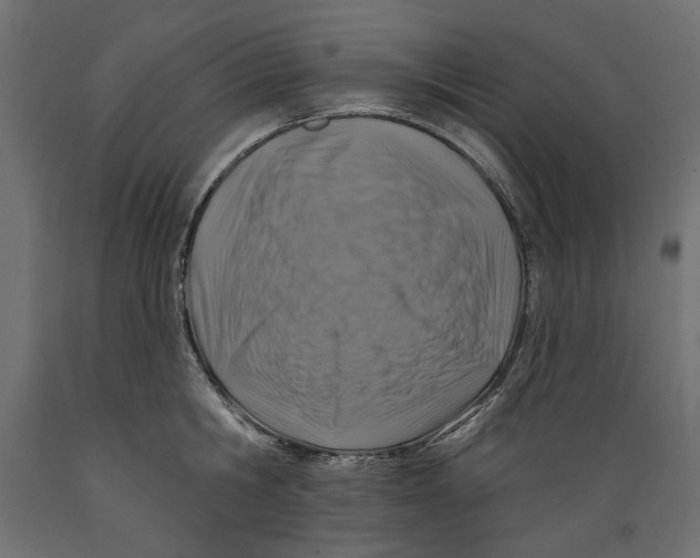 X0000088880806200707061409