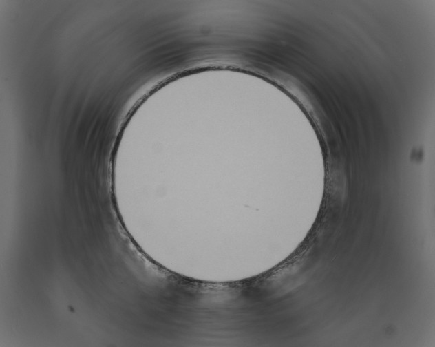 X0000088880807200707061409