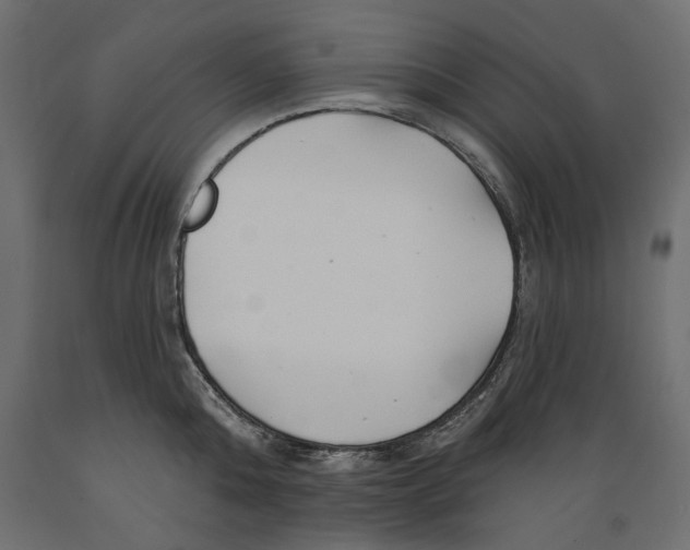 X0000088880808200707061409