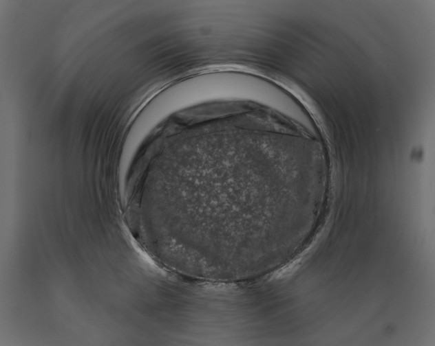 X0000088880809200707061409