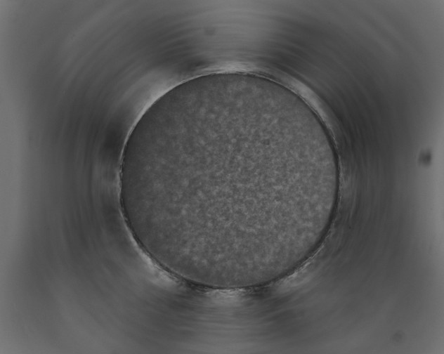 X0000088880810200707061409