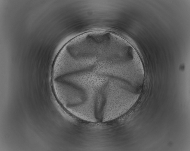 X0000088880811200707061409