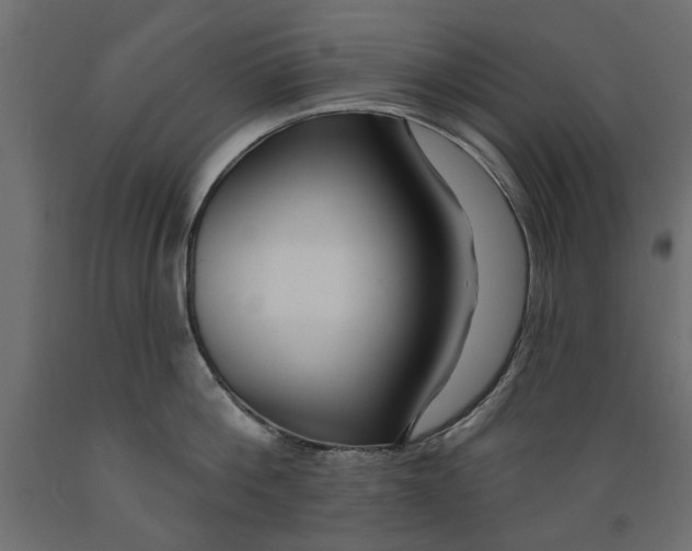 X0000088880812200707061409