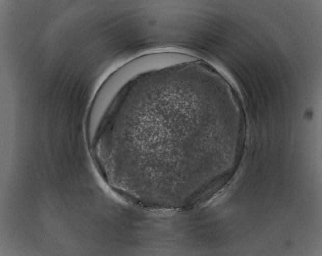X0000088880813200707061409