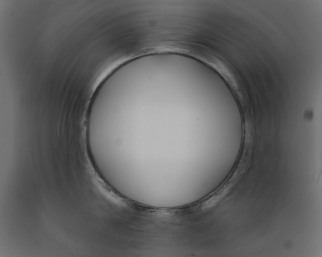 X0000088880814200707061409