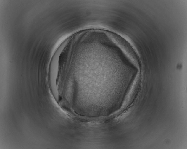 X0000088880815200707061409