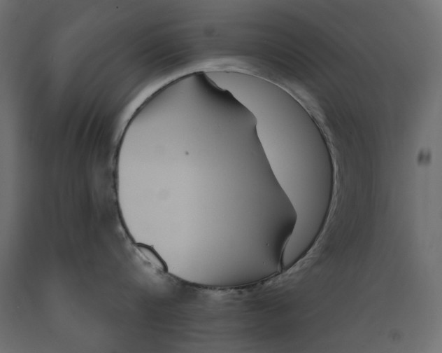 X0000088880816200707061409
