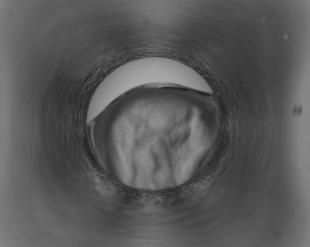 X0000088880818200707061408