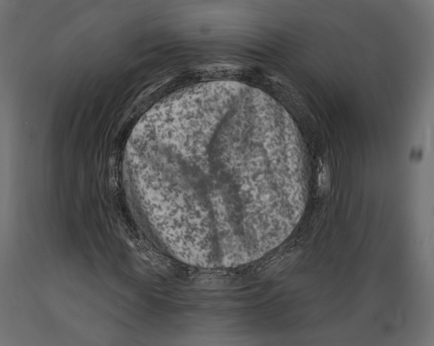 X0000088880819200707061408