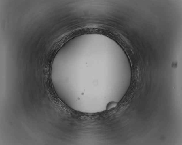 X0000088880821200707061408