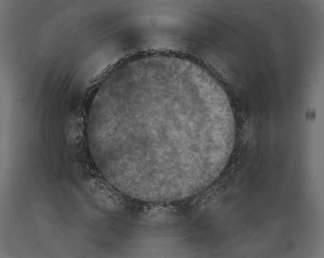 X0000088880824200707061408