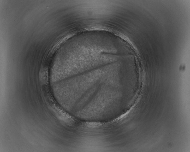 X0000088880825200707061408