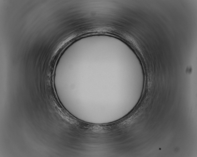 X0000088880827200707061408