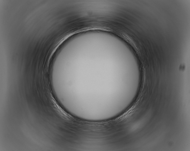 X0000088880828200707061408