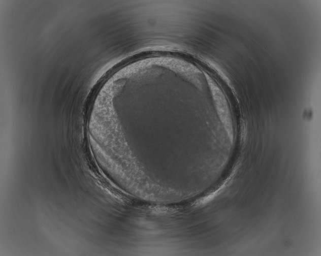 X0000088880829200707061408