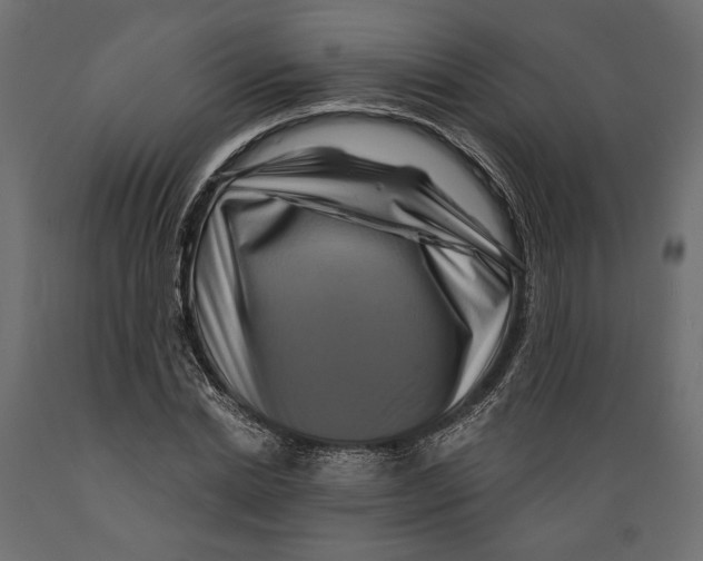 X0000088880830200707061408