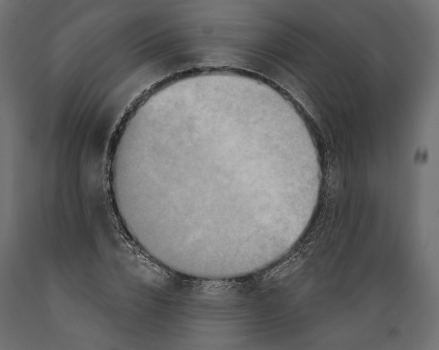 X0000088880832200707061408