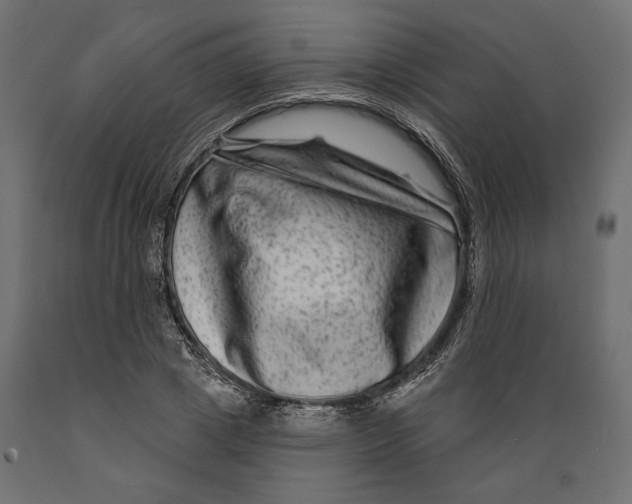 X0000088880833200707061408