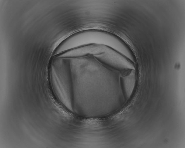 X0000088880834200707061408