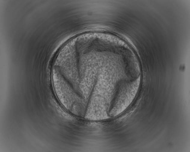 X0000088880835200707061408