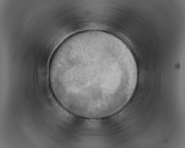 X0000088880836200707061408