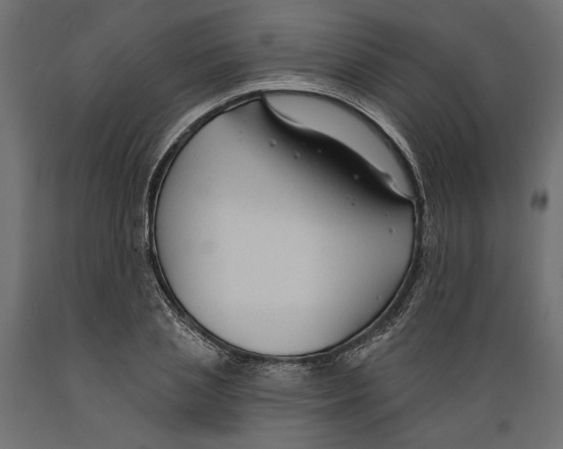 X0000088880837200707061408