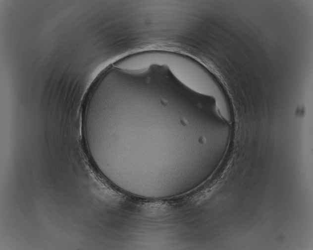 X0000088880838200707061408
