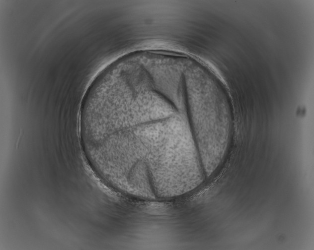 X0000088880839200707061408