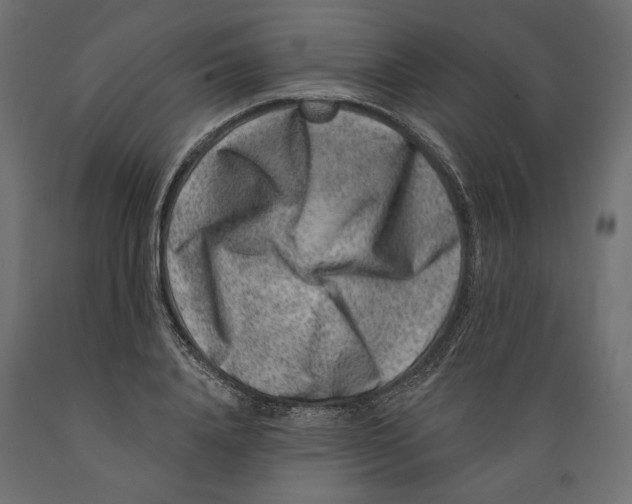 X0000088880840200707061408