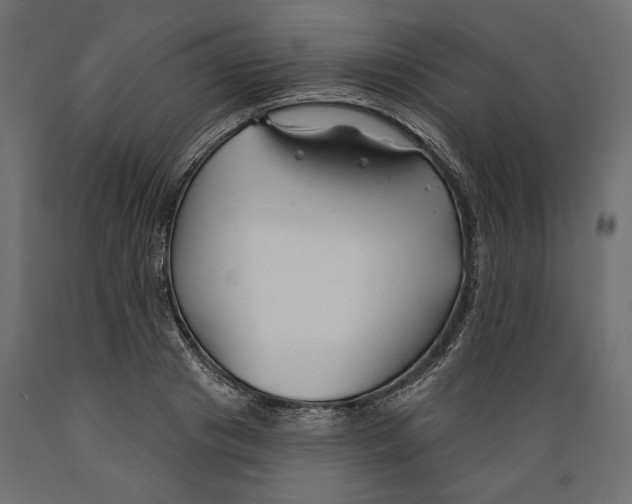 X0000088880841200707061408