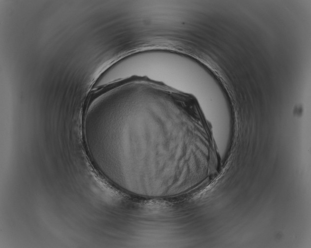 X0000088880842200707061408