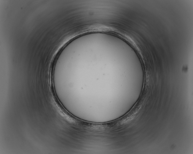 X0000088880843200707061408