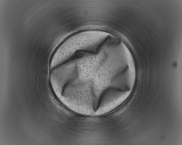 X0000088880844200707061408