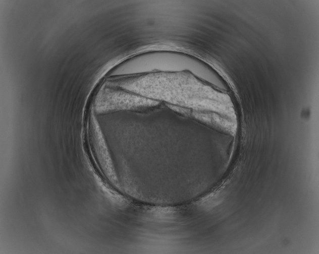X0000088880845200707061408