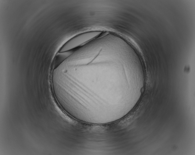 X0000088880847200707061408
