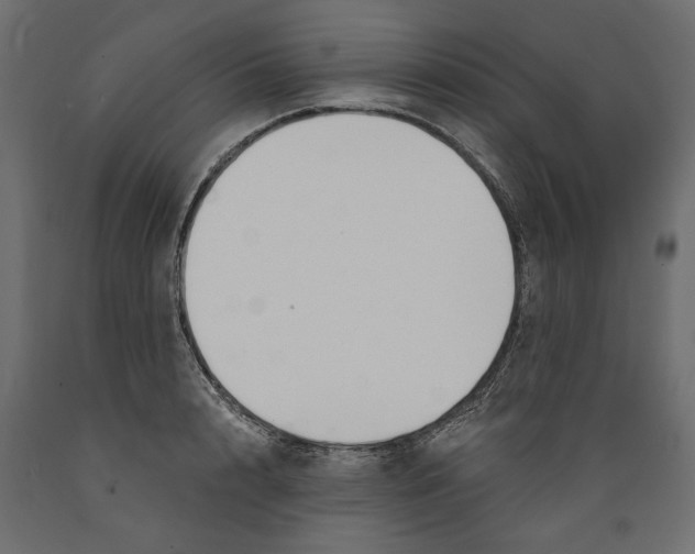 X0000088880848200707061408