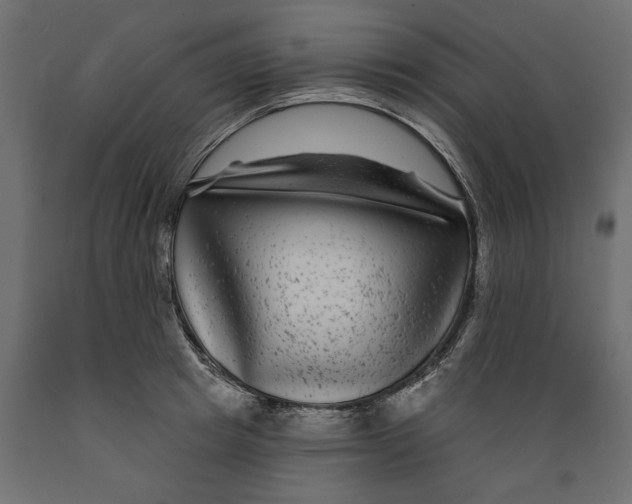 X0000088880849200707061408