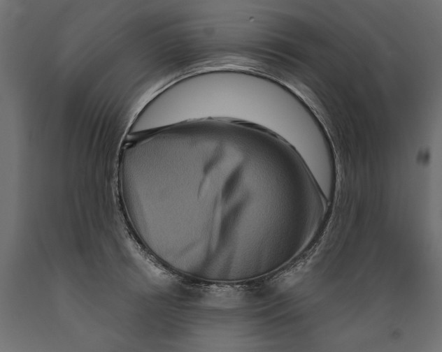 X0000088880850200707061408