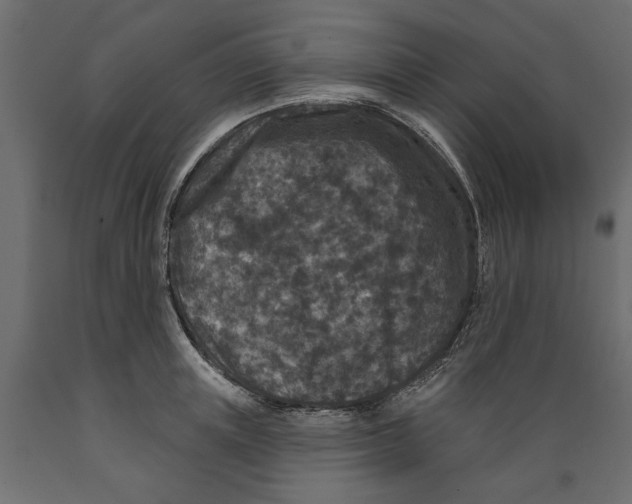 X0000088880851200707061408