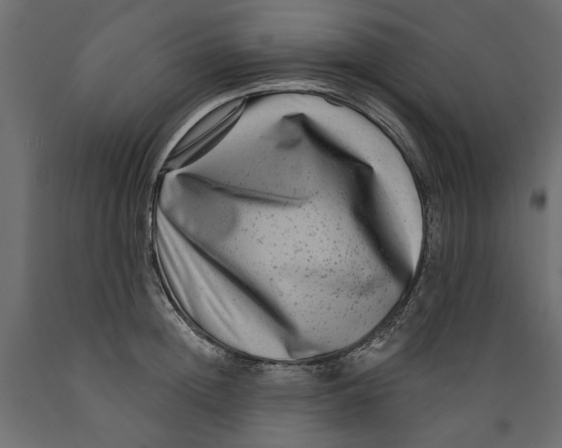 X0000088880852200707061408