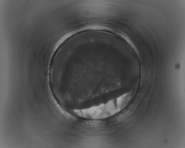 X0000088880853200707061408