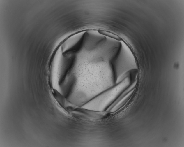 X0000088880854200707061408