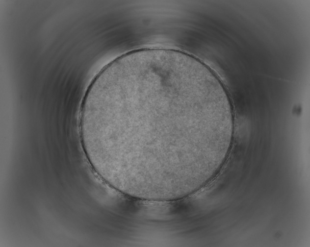 X0000088880856200707061408