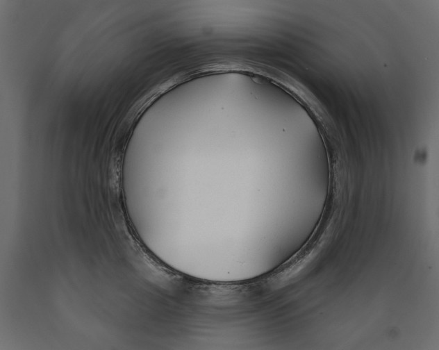 X0000088880857200707061408