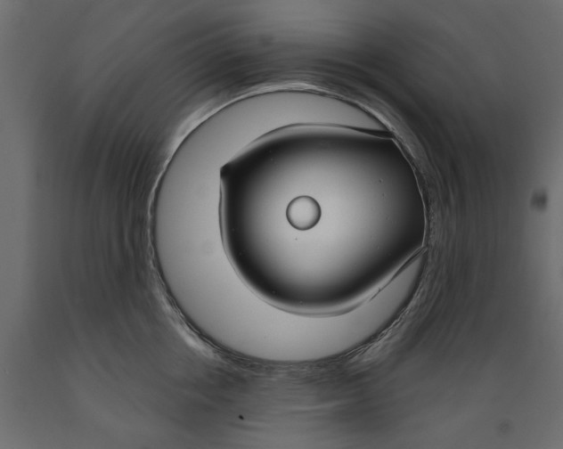X0000088880858200707061408