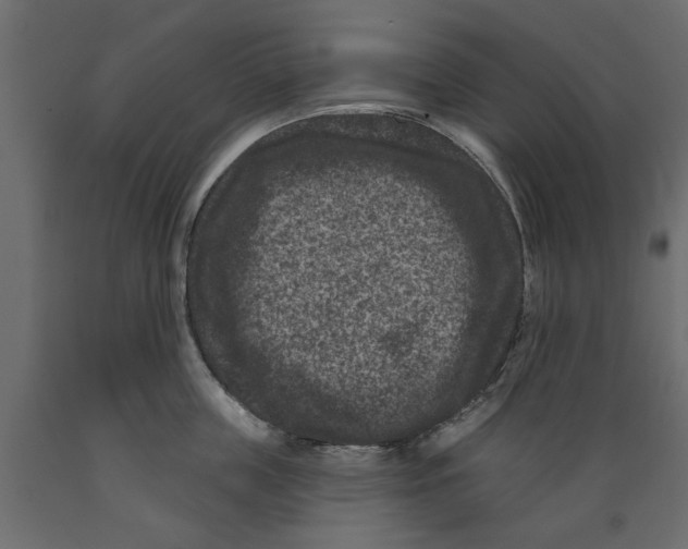 X0000088880859200707061408